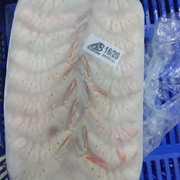 Chilled shrimp white
